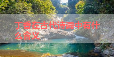 丁香在古代诗词中有什么含义 