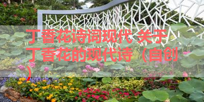 丁香花诗词现代 关于丁香花的现代诗（自创） 