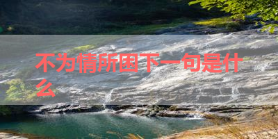 不为情所困下一句是什么 