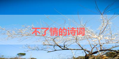 不了情的诗词 