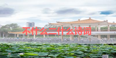 不什么二什么诗词 