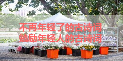 不再年轻了的古诗词 勉励年轻人的古诗词