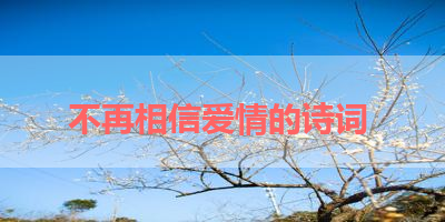 不再相信爱情的诗词 