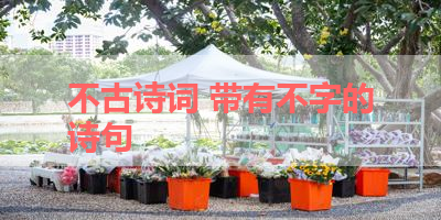 不古诗词 带有不字的诗句 