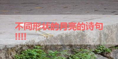 不同形状的月亮的诗句!!!! 