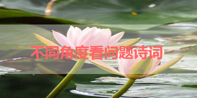 不同角度看问题诗词 