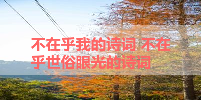 不在乎我的诗词 不在乎世俗眼光的诗词