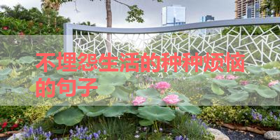 不埋怨生活的种种烦恼的句子 