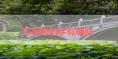 不字旁的字有哪些 