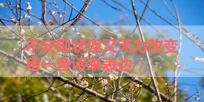 不安现状但又无力改变用一首诗来表达 