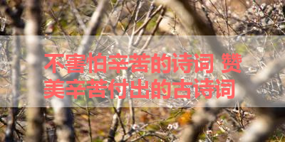 不害怕辛苦的诗词 赞美辛苦付出的古诗词