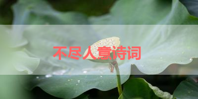 不尽人意诗词 
