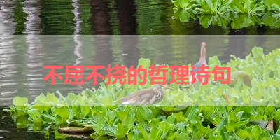 不屈不挠的哲理诗句 