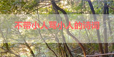 不带小人骂小人的诗词 