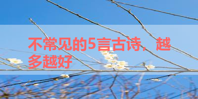 不常见的5言古诗，越多越好 