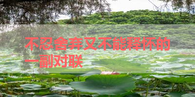 不忍舍弃又不能释怀的一副对联 