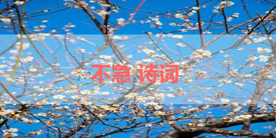 不急 诗词 