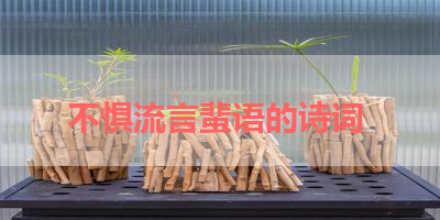 不惧流言蜚语的诗词 