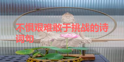 不惧艰难敢于挑战的诗词句 