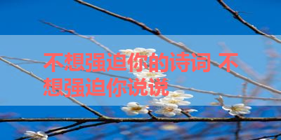 不想强迫你的诗词 不想强迫你说说