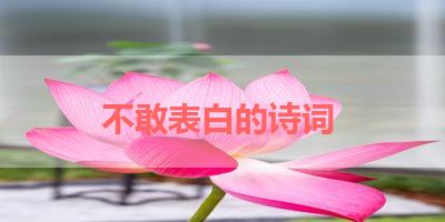 不敢表白的诗词 