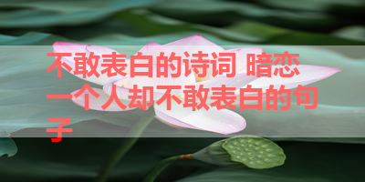 不敢表白的诗词 暗恋一个人却不敢表白的句子 