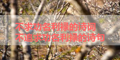 不求功名利禄的诗词 不追求功名利禄的诗句