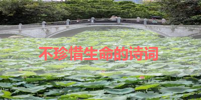不珍惜生命的诗词 