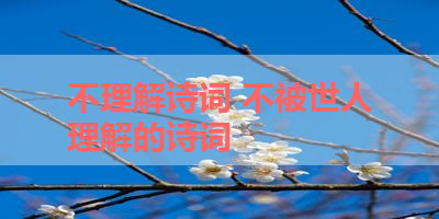 不理解诗词 不被世人理解的诗词 