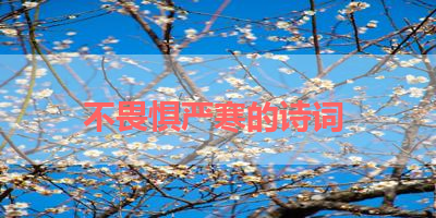 不畏惧严寒的诗词 