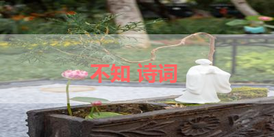 不知 诗词 