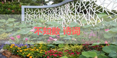 不知数 诗词 