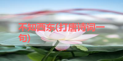 不知西东(打唐诗词一句) 