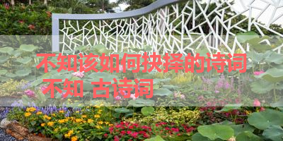 不知该如何抉择的诗词 不知 古诗词