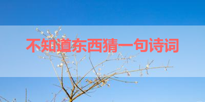 不知道东西猜一句诗词 