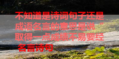 不知道是诗词句子还是成语名言的意思是说“取得一点成绩不易要经 名言诗句