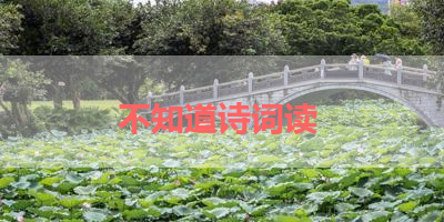不知道诗词读 