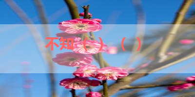 不知（  ）（  ） 
