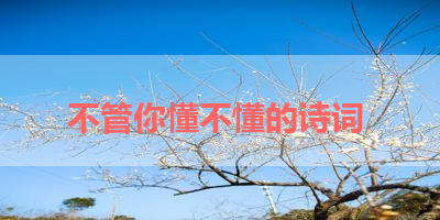 不管你懂不懂的诗词 