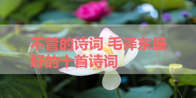 不管的诗词 毛译东最好的十首诗词
