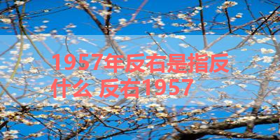 1957年反右是指反什么 反右1957
