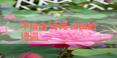 不自由 诗词 自由的诗词