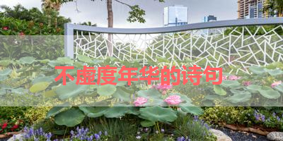 不虚度年华的诗句 