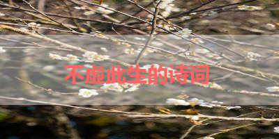 不虚此生的诗词 