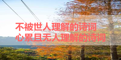 不被世人理解的诗词 心累且无人理解的诗词