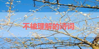 不被理解的诗词 
