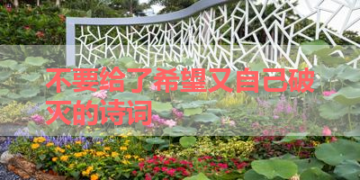 不要给了希望又自己破灭的诗词 
