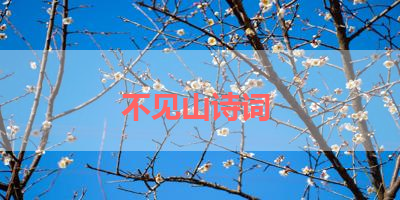 不见山诗词 