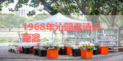 1968年沁园春诗词瓷器 