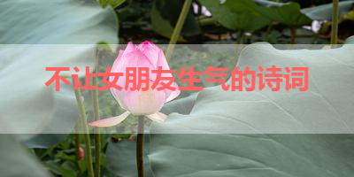 不让女朋友生气的诗词 